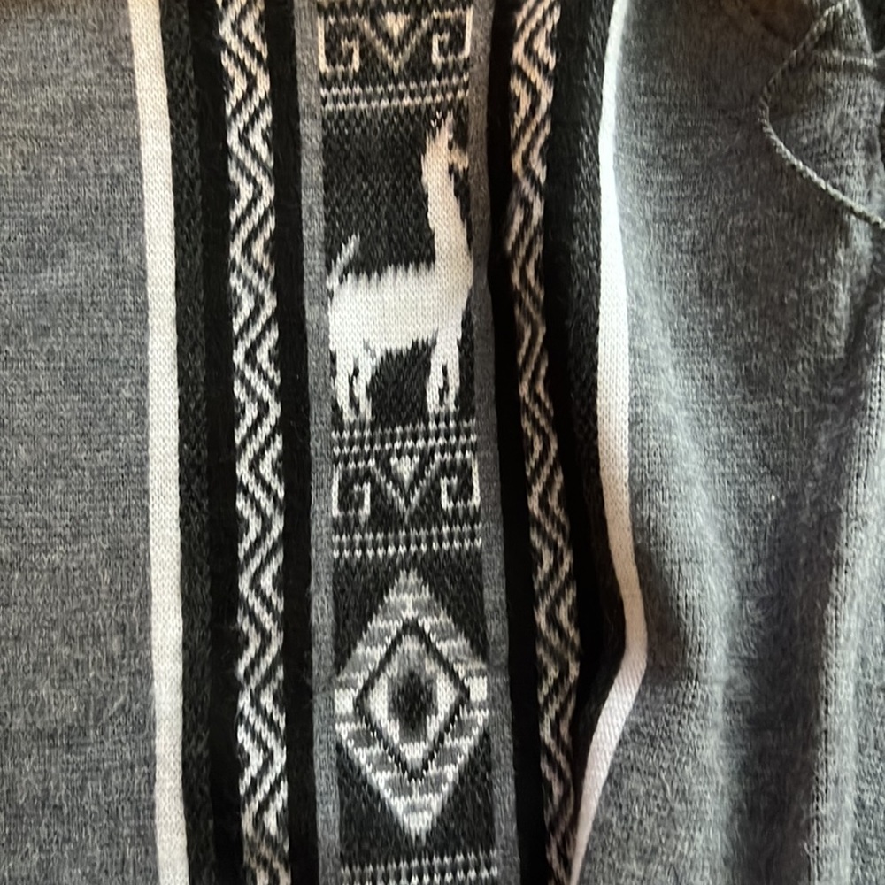 Poncho - Picture 3 of 3